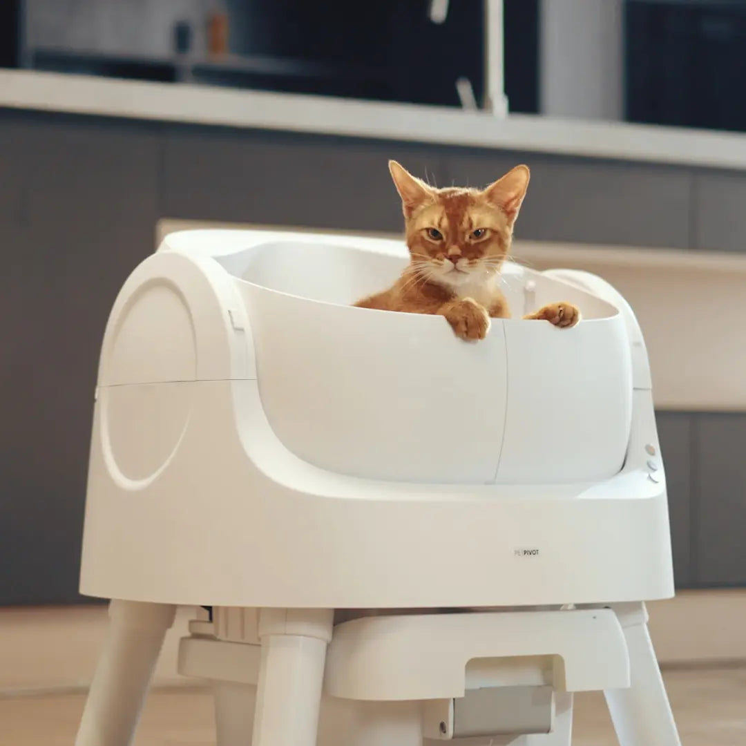 Petpivot Autoscooper 11 Open-Top Self-Cleaning Cat Litter Box with Odor-Free Waste Disposal and Trash Bags for Pet Owners