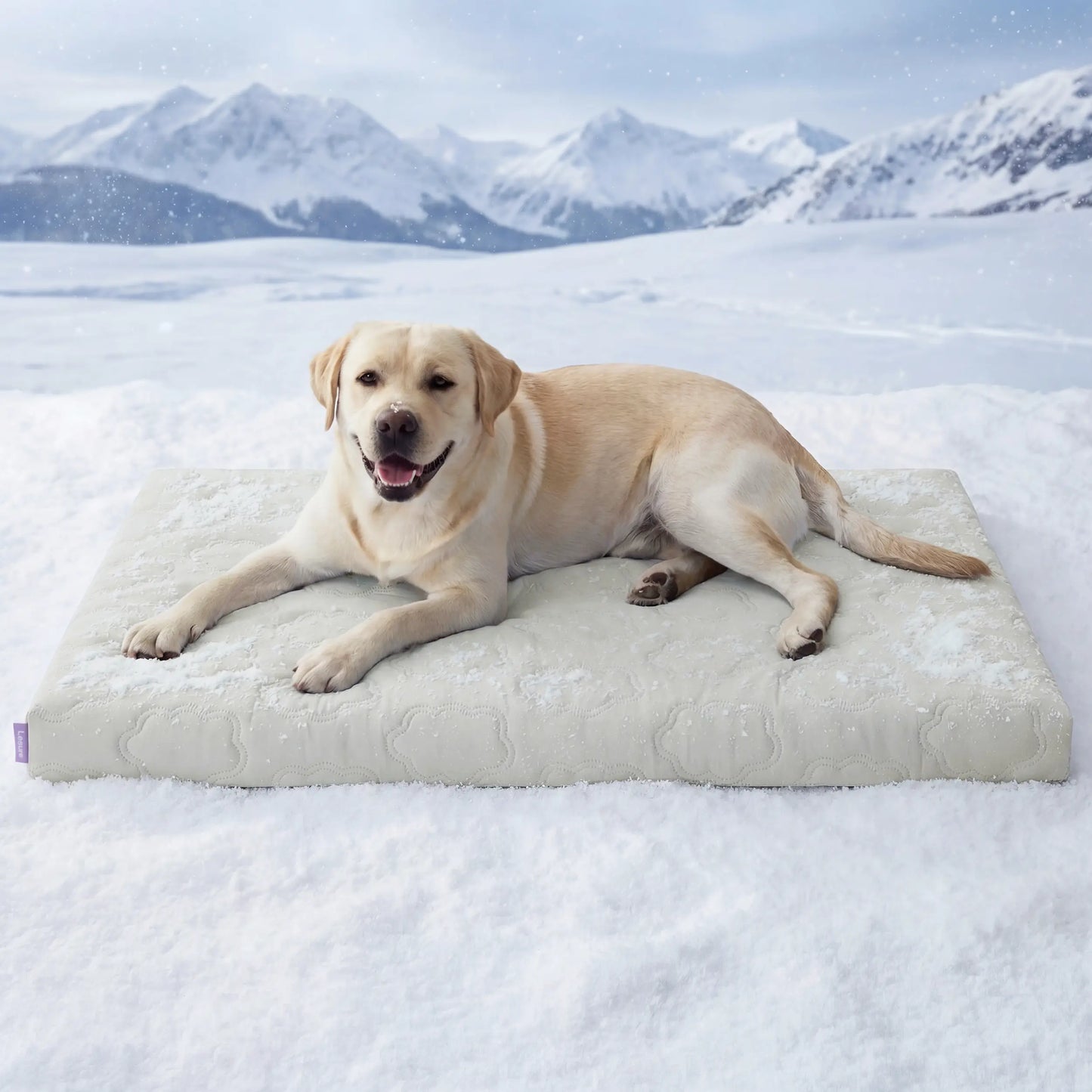 Bedsure Washable Cooling Mat for Dogs - Q-MAX>0.4 Non-Slip Summer Crate Bed for Large Dogs, No Gel or Electricity Needed