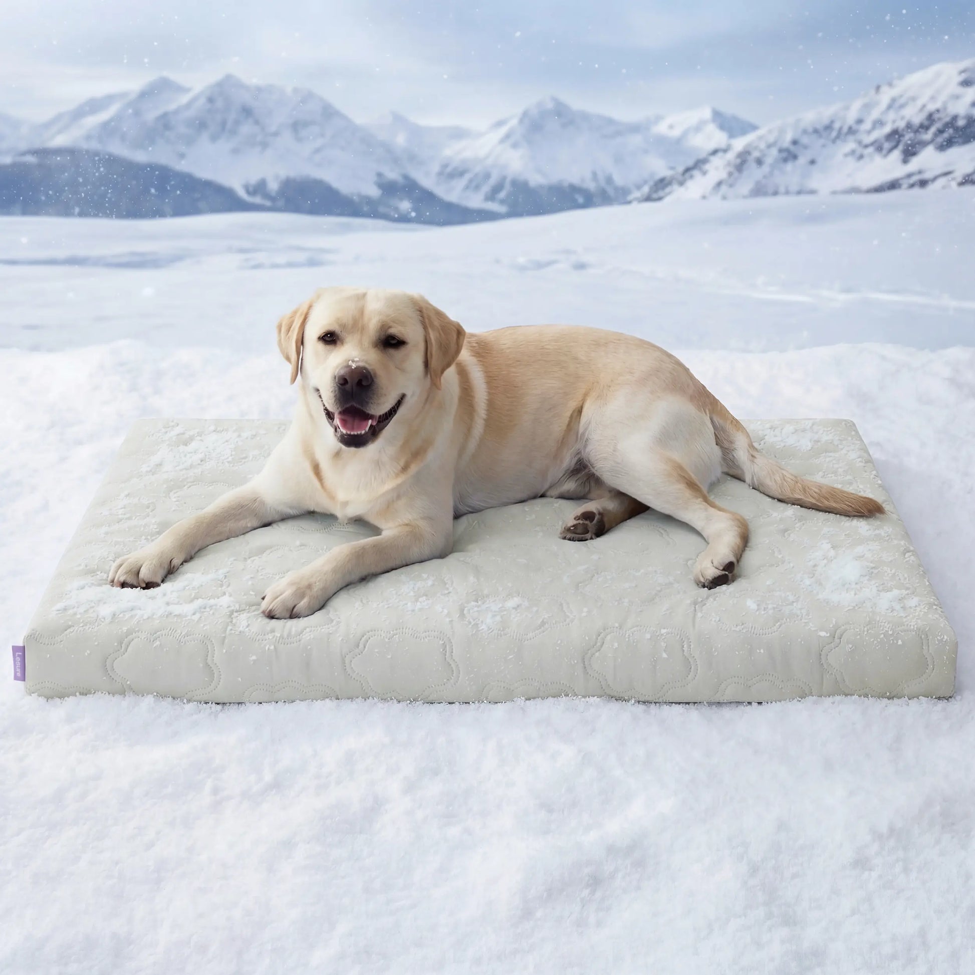 Bedsure Washable Cooling Mat for Dogs - Q-MAX>0.4 Non-Slip Summer Crate Bed for Large Dogs, No Gel or Electricity Needed