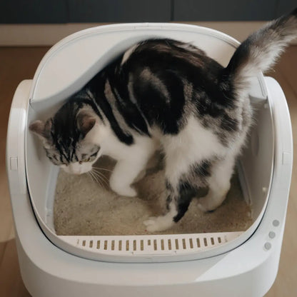 Petpivot Autoscooper 11 Open-Top Self-Cleaning Cat Litter Box with Odor-Free Waste Disposal and Trash Bags for Pet Owners
