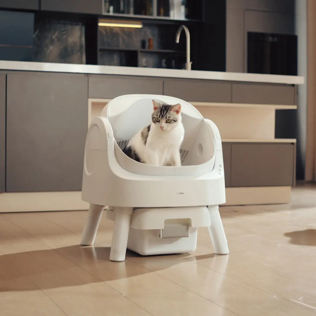 Petpivot Autoscooper 11 Open-Top Self-Cleaning Cat Litter Box with Odor-Free Waste Disposal and Trash Bags for Pet Owners