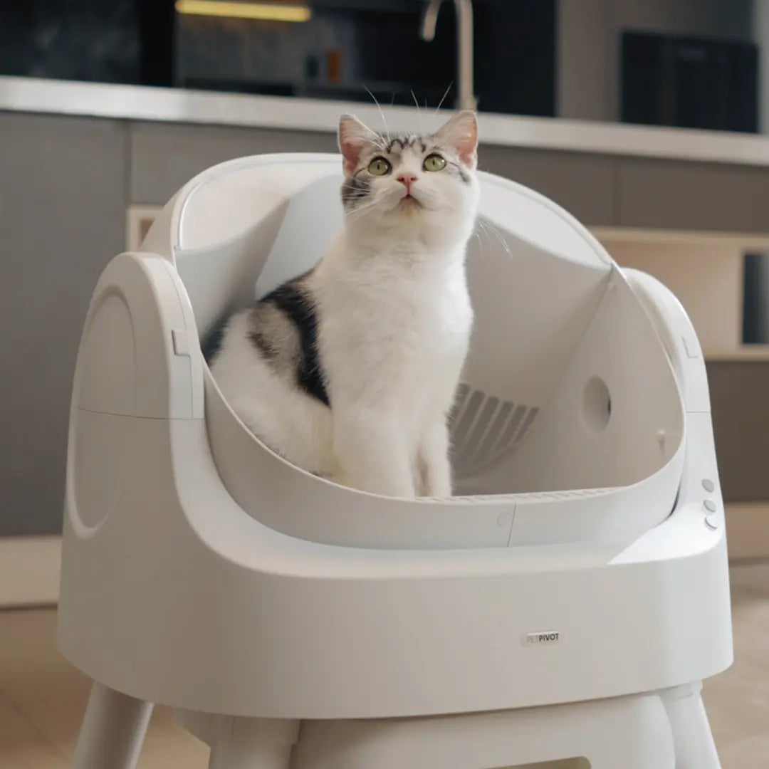 Petpivot Autoscooper 11 Open-Top Self-Cleaning Cat Litter Box with Odor-Free Waste Disposal and Trash Bags for Pet Owners